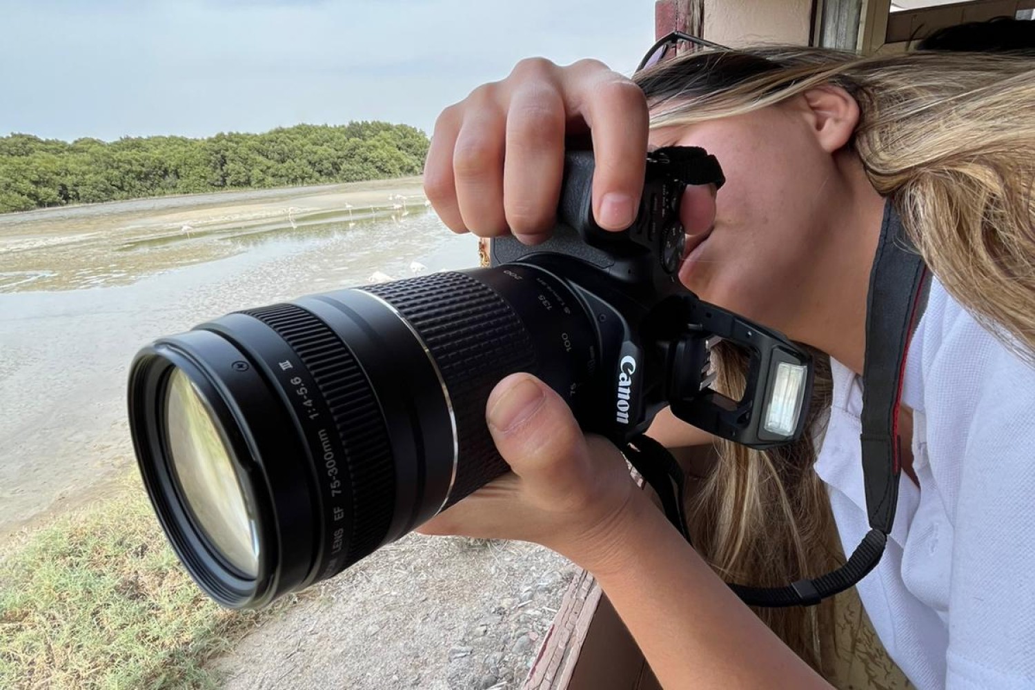 3abe217e-fb21-4b72-9a86-cf82e3b29b9b